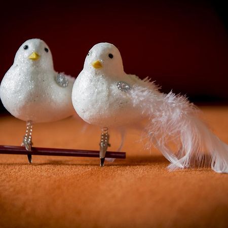 Two White Pigeons Villa Ieper Ruang foto