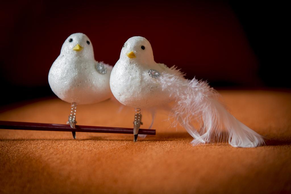 Two White Pigeons Villa Ieper Ruang foto